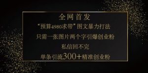小红书神奇图片引流法,只需一张图,就能单条笔记凭借此方法,轻松引流 300 + 精准创业粉-数智网创