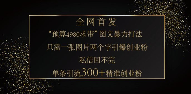 小红书神奇图片引流法，只需一张图，就能单条笔记凭借此方法，轻松引流 300 + 精准创业粉-数智网创