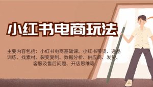 小红书电商玩法：带货/选品/找素材/裂变/数据分析/供应商/发货/售后/开店思维等-数智网创