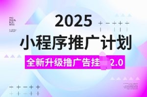 2025小程序推广计划,全新升级撸广告挂JI2.0玩法,日入多张,小白可做【揭秘】-数智网创