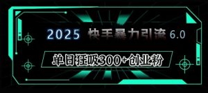 2025年快手6.0保姆级教程震撼来袭，单日狂吸300+精准创业粉-数智网创