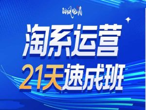 淘系运营21天速成班35期，年前最后一波和2025方向-数智网创