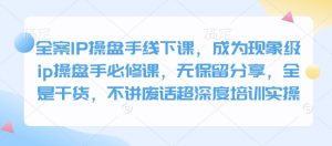 全案IP操盘手线下课，成为现象级ip操盘手必修课，无保留分享，全是干货，不讲废话超深度培训实操-数智网创