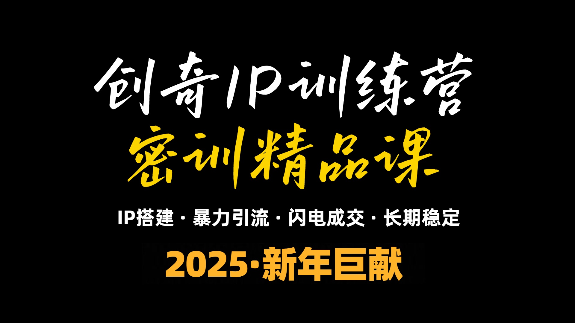 2025年“知识付费IP训练营”小白避坑年赚百万，暴力引流，闪电成交-数智网创