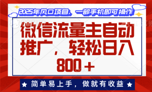 微信流量主自动推广，轻松日入800+，简单易上手，做就有收益。-数智网创