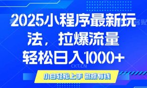 2025年小程序最新玩法，流量直接拉爆，单日稳定变现1000+-数智网创