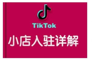 TikTok跨境小店运营全攻略，帮助你独立运营TK跨境小店的能力，实现销量增长-数智网创