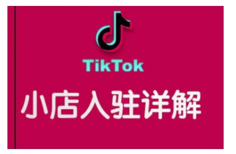 TikTok跨境小店运营全攻略，帮助你独立运营TK跨境小店的能力，实现销量增长-数智网创