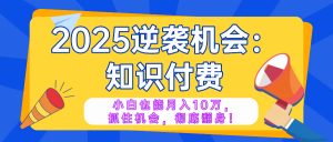 2025逆袭项目——知识付费，小白也能月入10万年入百万，抓住机会彻底翻...-数智网创