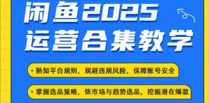 2025闲鱼电商运营全集，2025最新咸鱼玩法-数智网创
