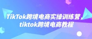 TikTok跨境电商实操训练营，tiktok跨境电商教程-数智网创