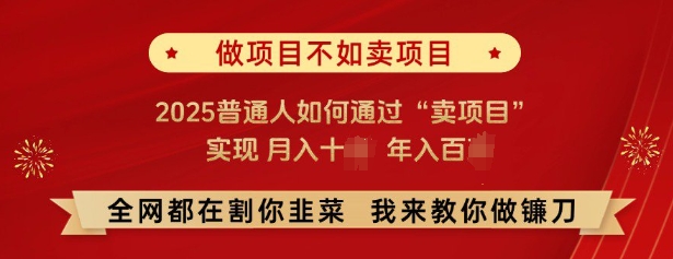 必看，做项目不如卖项目，2025普通人如何通过“卖项目”实现月入十个，年入百个-数智网创