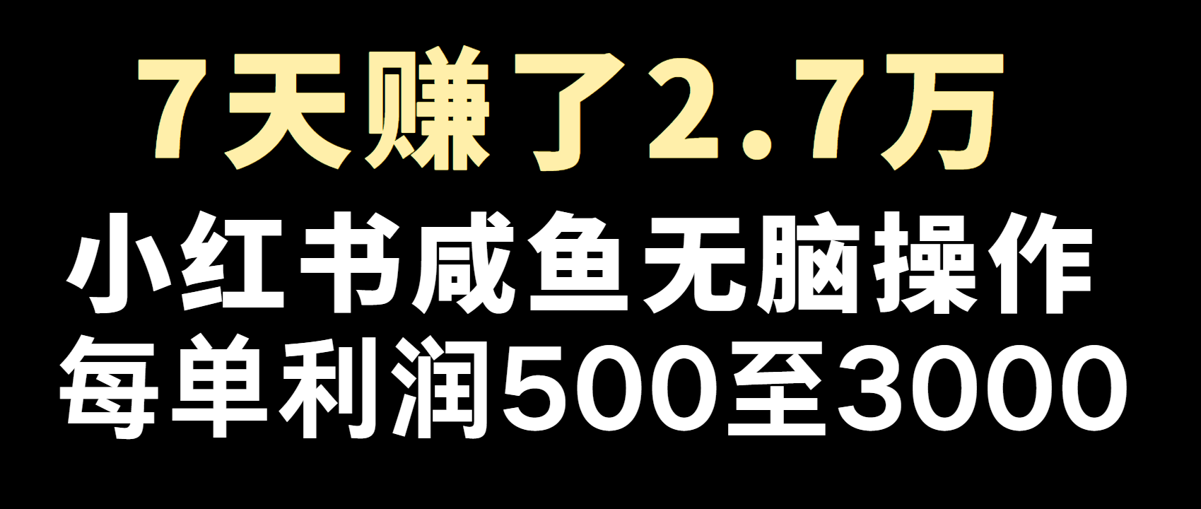 全网首发，7天赚了2.6万，2025利润超级高！-数智网创