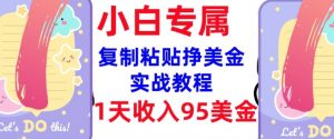 复制粘贴挣美金,0门槛,1天收入95美刀,3分钟学会,内部教程(首次公开)-数智网创