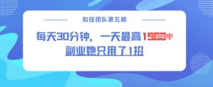 副业她只用了1招，每天30分钟，无脑二创，一天最高1.5k-数智网创