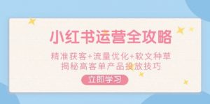 小红书运营全攻略，精准获客+流量优化+软文种草，揭秘高客单产品投放技巧-数智网创