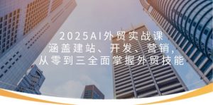 2025AI外贸实战课：涵盖建站、开发、营销, 从零到三全面掌握外贸技能-数智网创