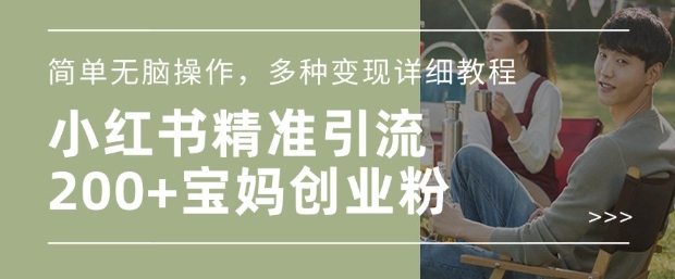小红书混剪日引200+宝妈创业粉，简单无脑操作，多种变现详细教程-数智网创