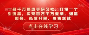 一品千万操盘手研习社,打爆一个引流品,实现百万千万业绩,爆品裂变,私域升单,发售实战-数智网创