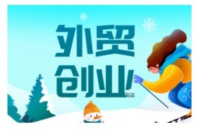 2025外贸创业全攻略，从入门到精通的全面指导-数智网创