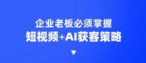 企业短视频AI获客霸屏流量课，6步短视频+AI突围法，3大霸屏抢客策略-数智网创