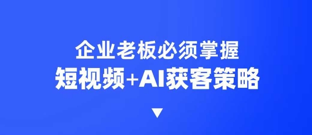 企业短视频AI获客霸屏流量课，6步短视频+AI突围法，3大霸屏抢客策略-数智网创