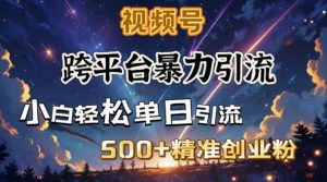 跨平台暴力引流,私域完美闭环,日引500+精准创业粉-数智网创