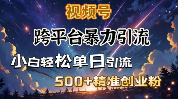 跨平台暴力引流,私域完美闭环,日引500+精准创业粉-数智网创