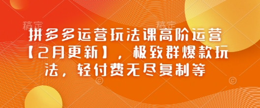 拼多多运营玩法课高阶运营【2月更新】,极致群爆款玩法,轻付费无尽复制等-数智网创