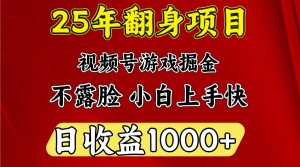 一天收益1000+ 25年开年落地好项目-数智网创