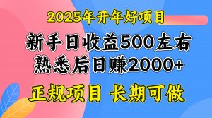 2025开年好项目，单号日收益2000左右-数智网创