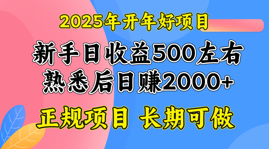 2025开年好项目，单号日收益2000左右-数智网创