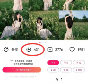 最新图虫搬运项目，收益无上限，利用AI小白也可日赚500+-数智网创