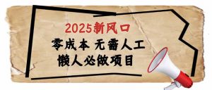 2025新风口,懒人必做项目,零成本无需人工,轻松上手无门槛-数智网创