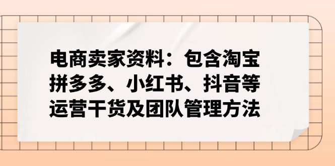 电商卖家资料:包含淘宝、拼多多、小红书、抖音等运营干货及团队管理方法-数智网创