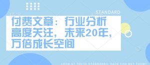 付费文章:行业分析 高度关注,未来20年,万倍成长空间-数智网创