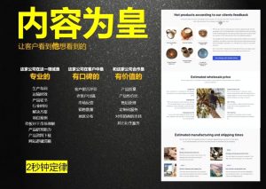 刘老师·外贸询盘增长秘籍从0到1的实战指南-数智网创