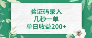 验证码录入，几秒一单，单日收益200+-数智网创