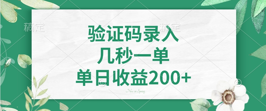 验证码录入，几秒一单，单日收益200+-数智网创
