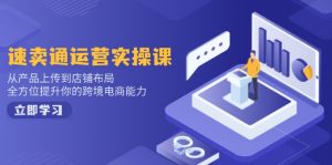 速卖通运营实操课,从产品上传到店铺布局,全方位提升你的跨境电商能力-数智网创