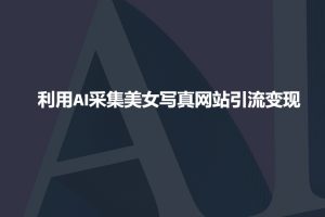 利用AI采集美女写真网站引流变现，引流嘎嘎的-数智网创
