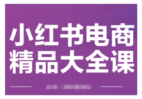 小红书电商精品大全课，快速掌握小红书运营技巧，实现精准引流与爆单目标，轻松玩转小红书电商(更新2月)-数智网创