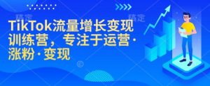 TikTok流量增长变现训练营，专注于运营·涨粉·变现-数智网创