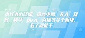 小红书必修课,覆盖电商,无人,获客,种草,mcn,直播等多个板块,看了就能干-数智网创