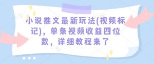 小说推文最新玩法(视频标记)，单条视频收益四位数，详细教程来了-数智网创