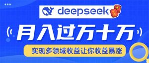 用DeepSeek席卷各大平台，快速上手实现多领域，让你收入猛增-数智网创