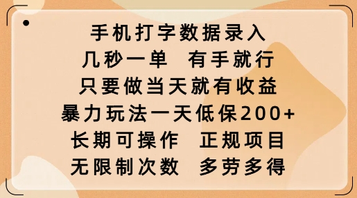手机打字数据录入,几秒一单,有手就行,只要做当天就有收益,暴力玩法一天低保2张-数智网创