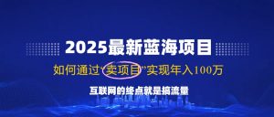 2025最新蓝海项目，零门槛轻松复制，月入10万+，新手也能操作！-数智网创