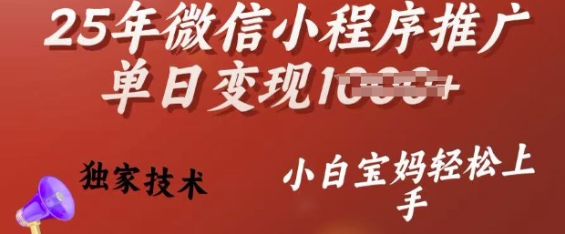 25年微信小程序推广单日变现多张，独家技术，小白宝妈轻松上手【揭秘】-数智网创
