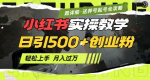 2月小红书最新日引500+创业粉实操教学【超详细】小白轻松上手,月入1W+,附小红书养号起号SOP-数智网创